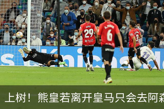 上树！熊皇若离开皇马只会去阿森纳 索要1500万忠诚奖遭弗爷拒绝