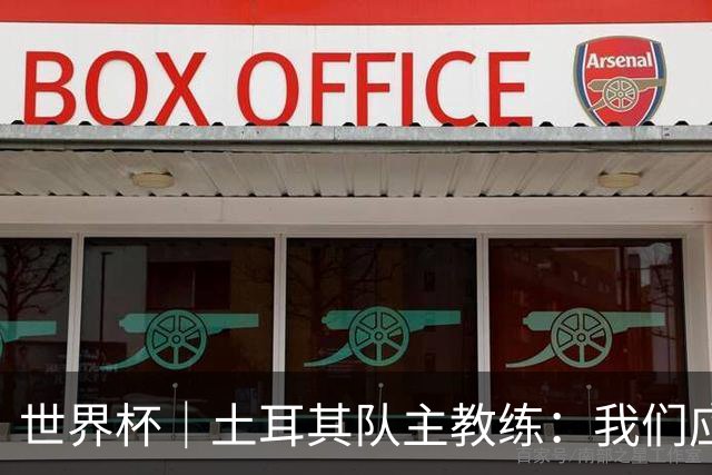 世界杯｜土耳其队主教练：我们应得到更多尊重