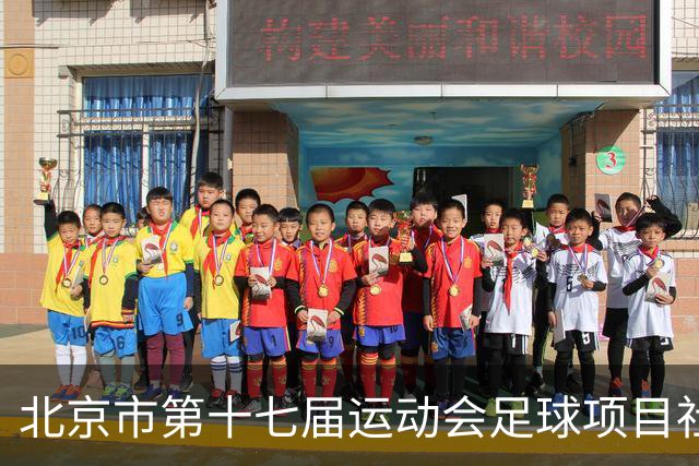 北京市第十七届运动会足球项目社会组暨第六届社区杯落幕