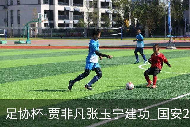 足协杯-贾非凡张玉宁建功 国安2-1大连可为晋级8强