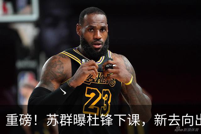 重磅！苏群曝杜锋下课，新去向出炉，球迷喊话杨鸣接手，能行吗？