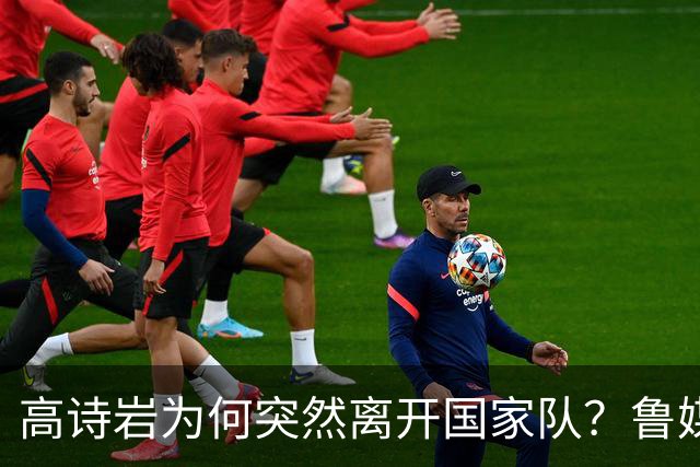 高诗岩为何突然离开国家队？鲁媒说出答案，不是能力不行，好扎心